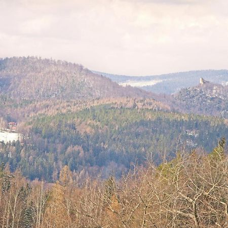Willa "Sniezna Kopa"-Agroturystyka Pro Zdrowotna Villa Sosnowka  Luaran gambar